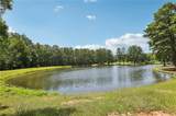 260 Ancient Oak Lane - Photo 29