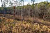 LT 177 Shallow Water Way - Photo 22