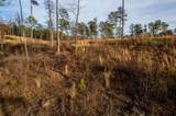 LT 177 Shallow Water Way - Photo 28