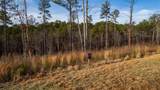 LT 177 Shallow Water Way - Photo 4