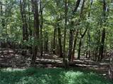 0 Moss Patch Trail - Photo 4