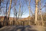 40 Sanderlin Mountain Drive - Photo 42
