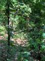 2046 Amy Creek Circle - Photo 12