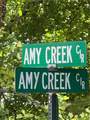 2046 Amy Creek Circle - Photo 9