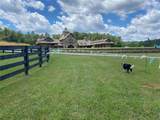 4295 Hwy 166 - Photo 21