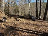 170 Old Gold Mine Trail - Photo 11