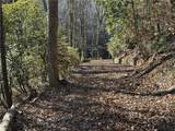 170 Old Gold Mine Trail - Photo 14