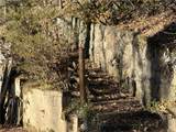 170 Old Gold Mine Trail - Photo 17