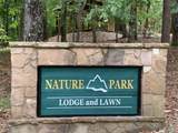 249 Owl Ridge Way - Photo 3