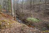 49 Old Stamp Mill Road - Photo 6