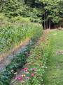 912 Folds Road - Photo 54