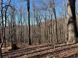245 Sassafras Mountain Trail - Photo 1