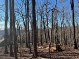 245 Sassafras Mountain Trail - Photo 3