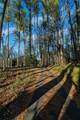 500 Piedmont Road - Photo 3