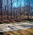 TBD Cowart Mountain Tract 1 Road - Photo 10