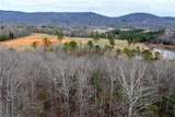 TBD Cowart Mountain Tract 1 Road - Photo 12