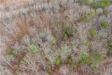 TBD Cowart Mountain Tract 1 Road - Photo 14