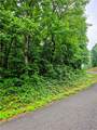 TBD Cowart Mountain Tract 1 Road - Photo 5