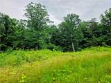 TBD Cowart Mountain Tract 2 Road - Photo 1