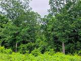 TBD Cowart Mountain Tract 2 Road - Photo 2
