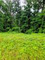 TBD Cowart Mountain Tract 2 Road - Photo 5