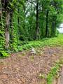 TBD Cowart Mountain Tract 2 Road - Photo 6