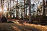 600 Hickory Creek Lane - Photo 4