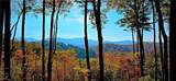 LOT 3 Gold Ridge Trail - Photo 11