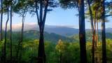 LOT 3 Gold Ridge Trail - Photo 3