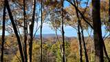 LOT 5 Gold Ridge Trail - Photo 1