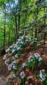 LOT 5 Gold Ridge Trail - Photo 12