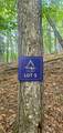 LOT 5 Gold Ridge Trail - Photo 2