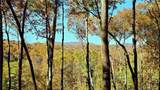 LOT 5 Gold Ridge Trail - Photo 6