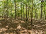 1205 Coachwhip Court - Photo 7