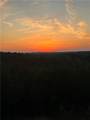 610 Cedar Creek Road - Photo 9