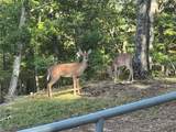 0 Little Hendricks Mountain - Photo 18