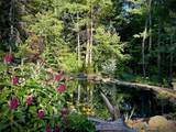 85 Frances Drive - Photo 7