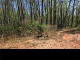 0 Thurmond Road 8.64 Acres Road - Photo 4