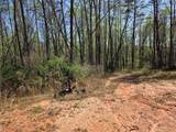 0 Thurmond Road 8.64 Acres Road - Photo 5