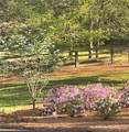 210 Etowah Landing - Photo 67