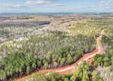 690 Harmony Gates Drive - Photo 4