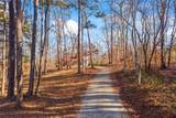 665 Holcomb Drive - Photo 4