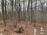 Lot 29 Long Mountain Trail - Photo 4