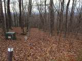Lot 29 Long Mountain Trail - Photo 6