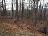 Lot 29 Long Mountain Trail - Photo 8