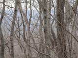 Lot 29 Long Mountain Trail - Photo 9