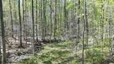 100 Chippewa Trail - Photo 4