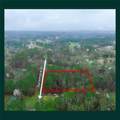 812 Sycamore Drive - Photo 4