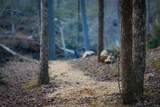 164 Water Dance Trail - Photo 17