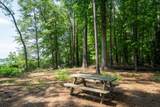 1231 Spinnaker Road - Photo 73